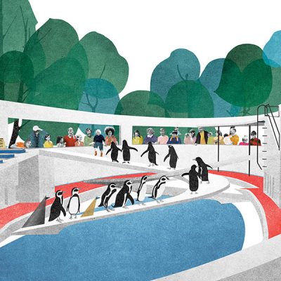 ペンギンが歩いている動物園