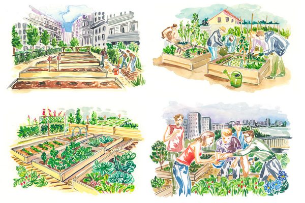 Lucile-City-farming