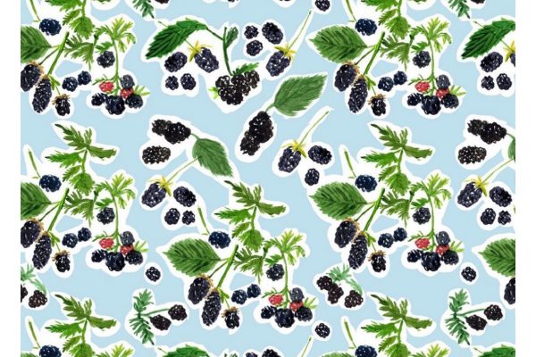 Blackberries-pattern