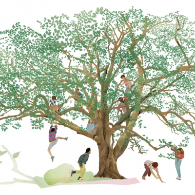 木登りを楽しむ子供たち