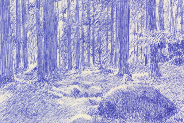 繊細なタッチで描く森と木々