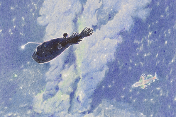 繊細なタッチで描く深海の中の魚たち