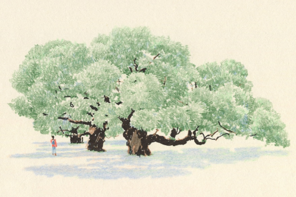 繊細なタッチで描く大木と人々