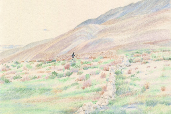 繊細なタッチで描く コキア　ブックカバー