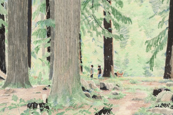 繊細なタッチで描く 木漏れ日　森