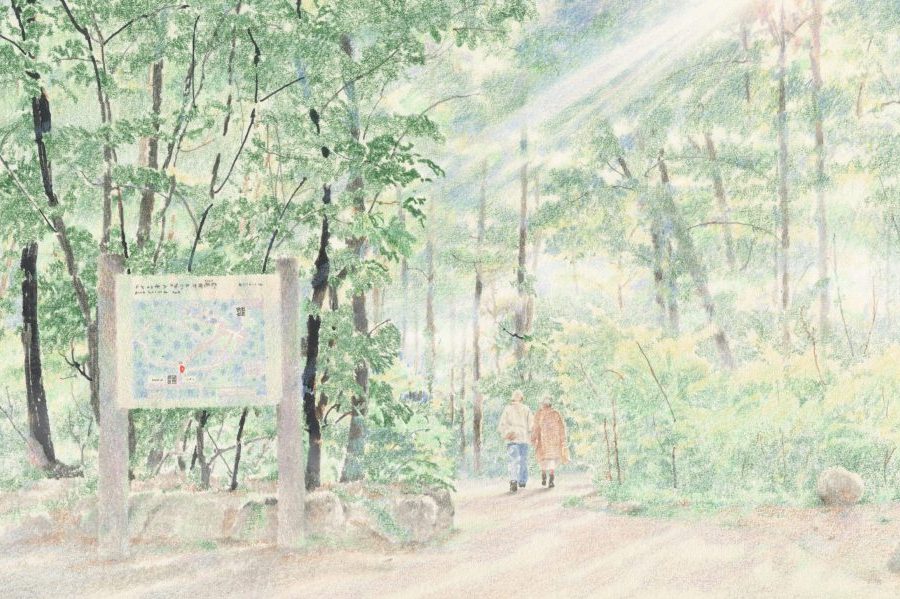 Lee _illustration_top