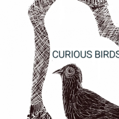 女性の足元と鳥