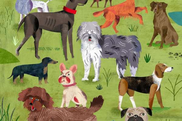 色々な種類の犬たち