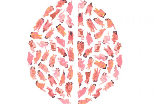cerebro