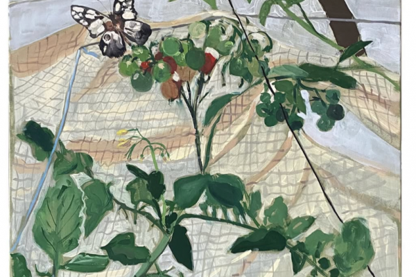 butterfly and plants